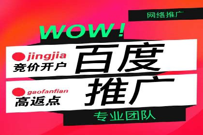 推广竞价案例分析：揭秘高转化率背后的秘密